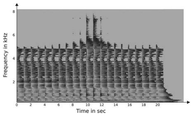 Spectrogram of banjo plucks with moving bridge